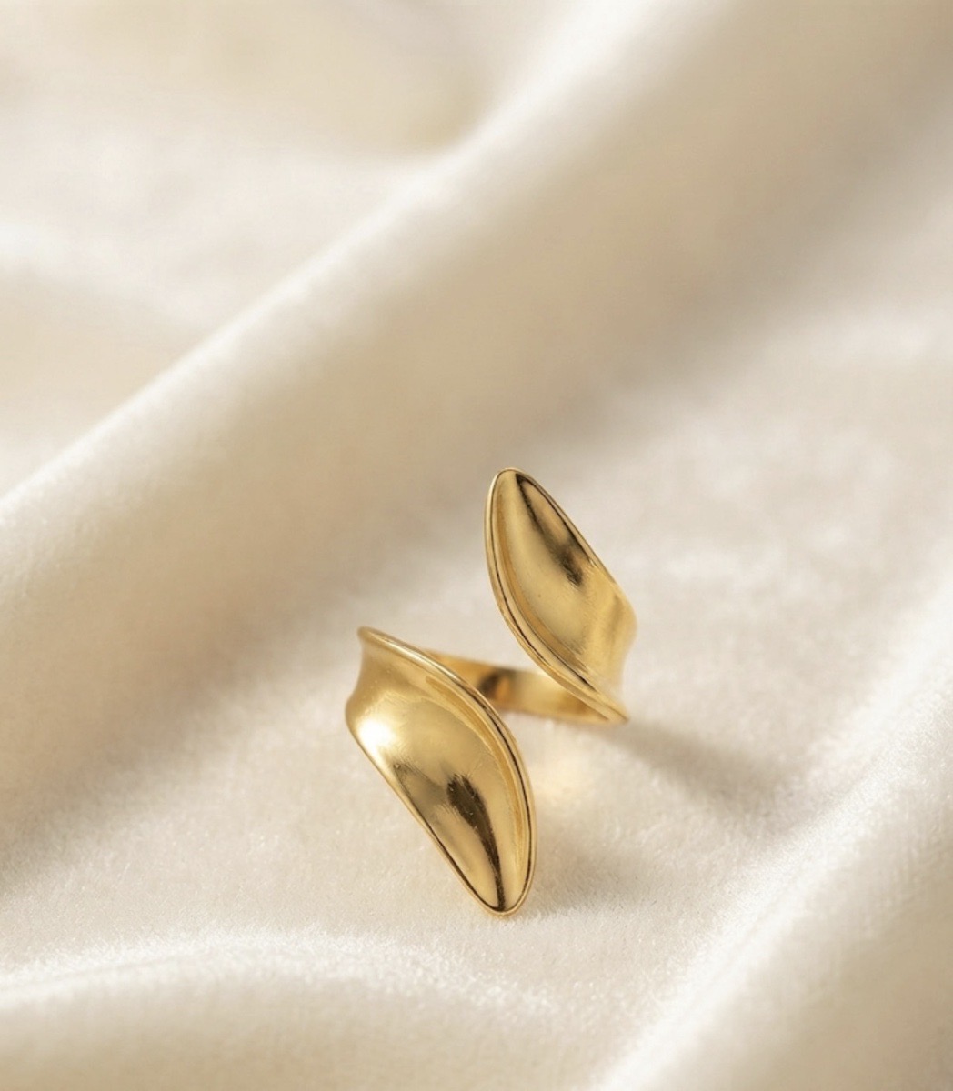 ANILLO